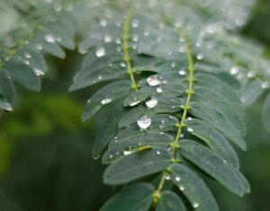 Ateliers d'écriture détails et petites choses